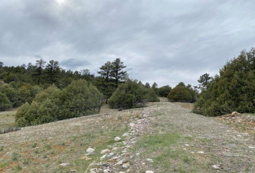 Juniper Tract Laguna Vista S/D, Los Ojos, New Mexico 87551-9999, ,Residential Land,For Sale,Laguna Vista S/D,202202434