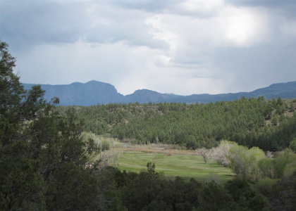 0 Sigler Tract, Rutheron, New Mexico 87551, ,Residential Land,For Sale,Sigler Tract,201702805