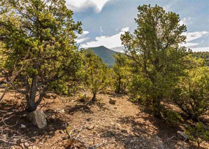 1917 Senda De Eleuterio, Santa Fe, New Mexico 87501, ,Residential Land,For Sale,Senda De Eleuterio,201603241